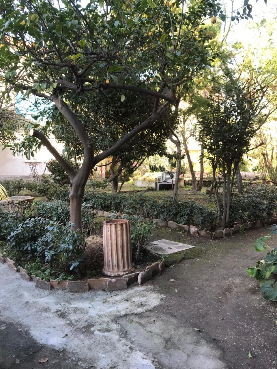 Il Giardino Di Vico Neve Bed & Breakfast Napoli Bagian luar foto