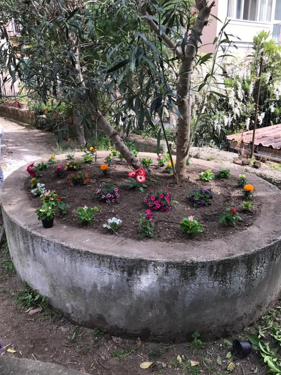 Il Giardino Di Vico Neve Bed & Breakfast Napoli Bagian luar foto
