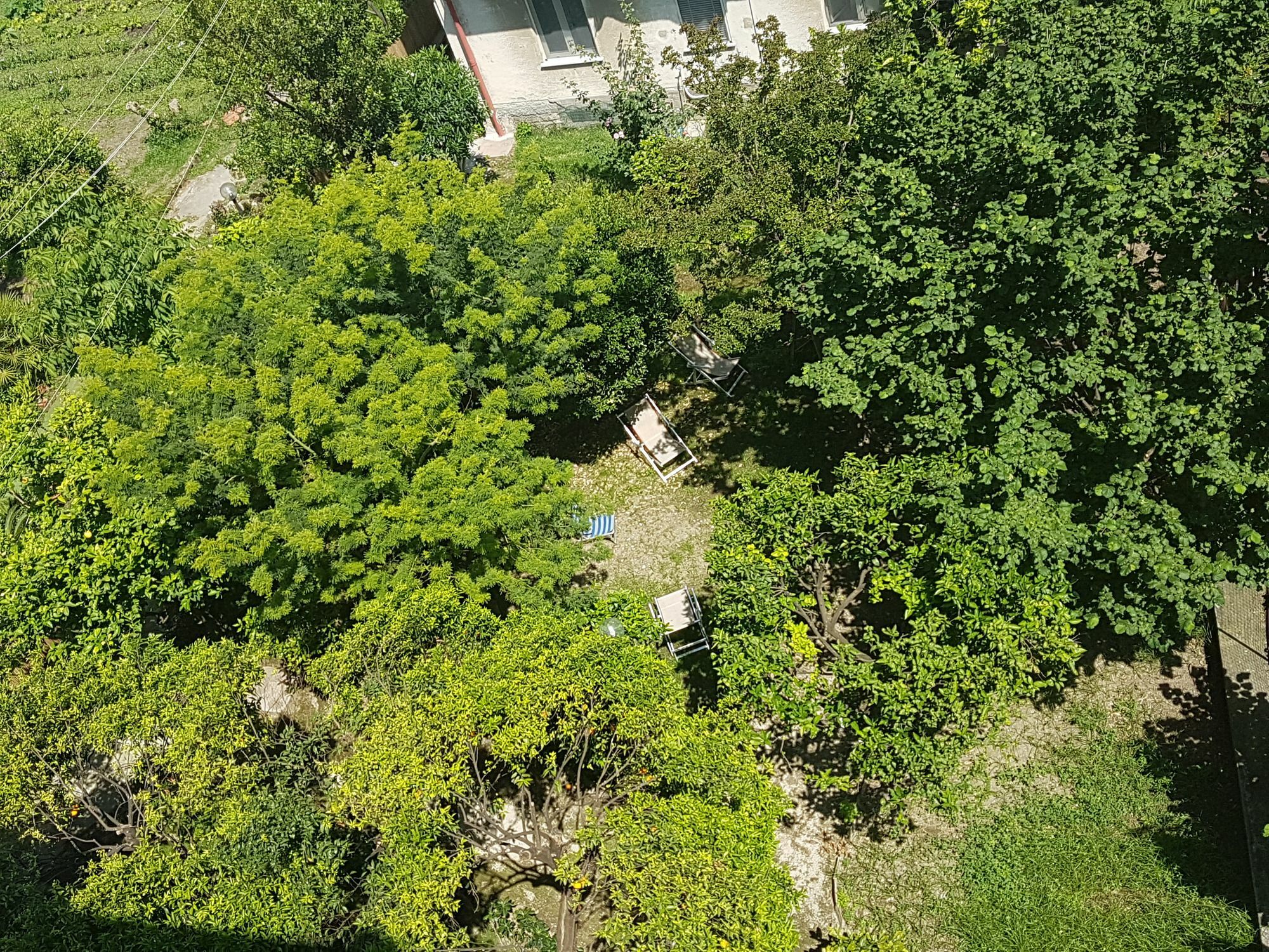 Il Giardino Di Vico Neve Bed & Breakfast Napoli Bagian luar foto
